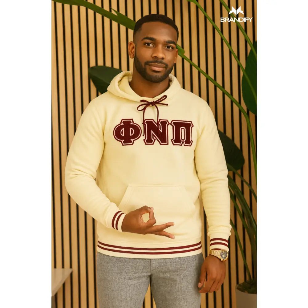 Custom Phi Nu Pi Chenille Hoodie | Custom D9