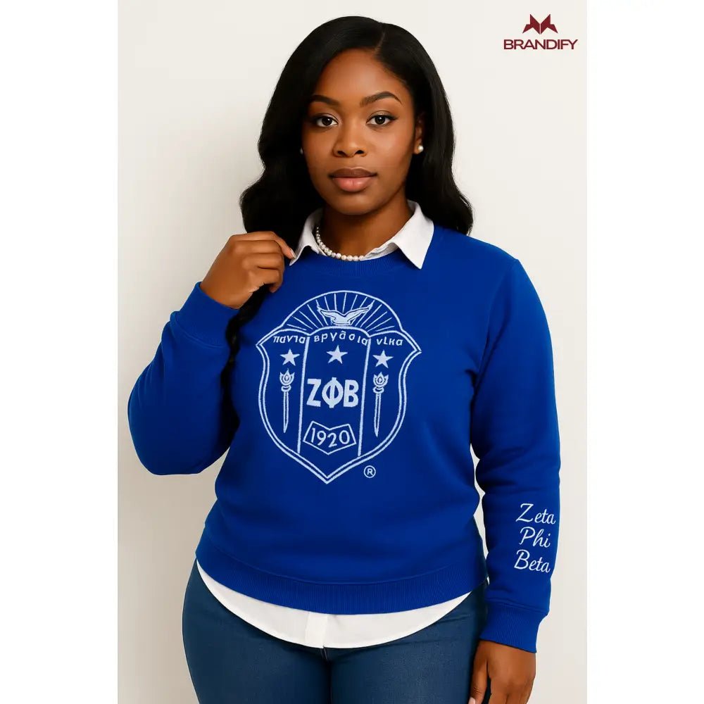 Custom Zeta Shield Chenille Sweatshirt | Custom D9