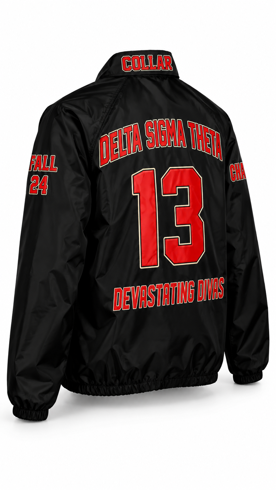 Black windbreaker jacket shown from the back, featuring red and white lettering that reads 'COLLEGE', 'DELTA SIGMA THETA', '13', and 'DEVASTATING DIVS' on a white background.