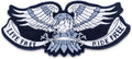 Eagle Flag Ride Free POW MIA Center Back Patch - USA Veteran for Biker Vest Jacket