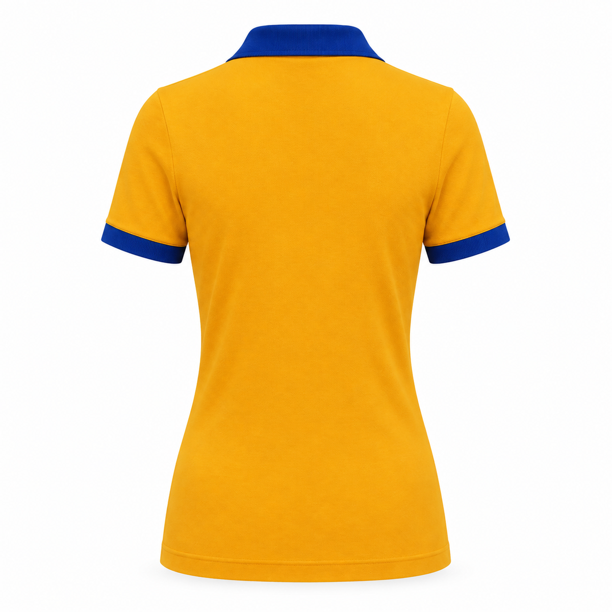 sigma gamma rho back yellow and blue
